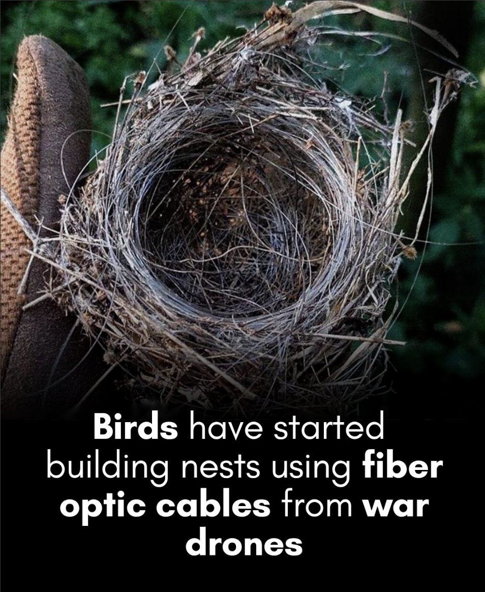 International Cyber Digest (@intcyberdigest) on Twitter photo 