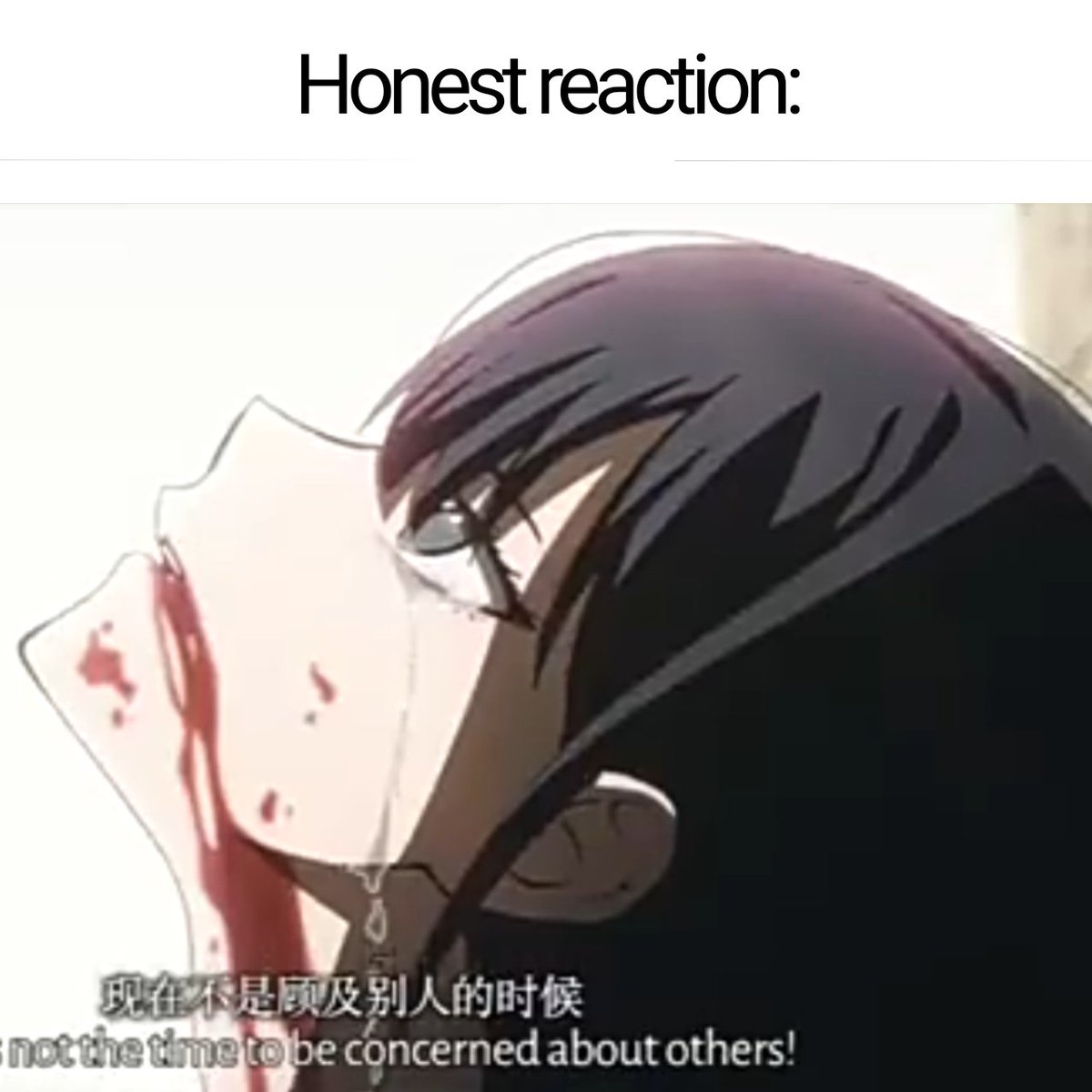 💄Suegiku's child 🧸 (@llojavicanon) on Twitter photo 