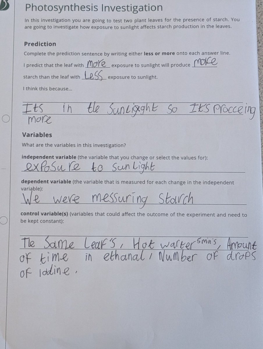 _VictoryPark_'s tweet image. KS3 this week continued their investigation into photosynthesis and completed their results and conclusions for these investigations. #ks3science #photosynthesisinvestigation #vpa #science