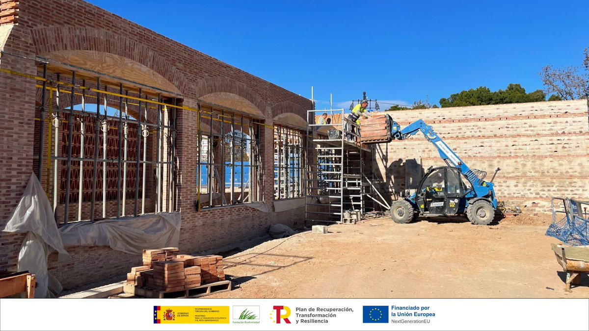 València Verda tweet media