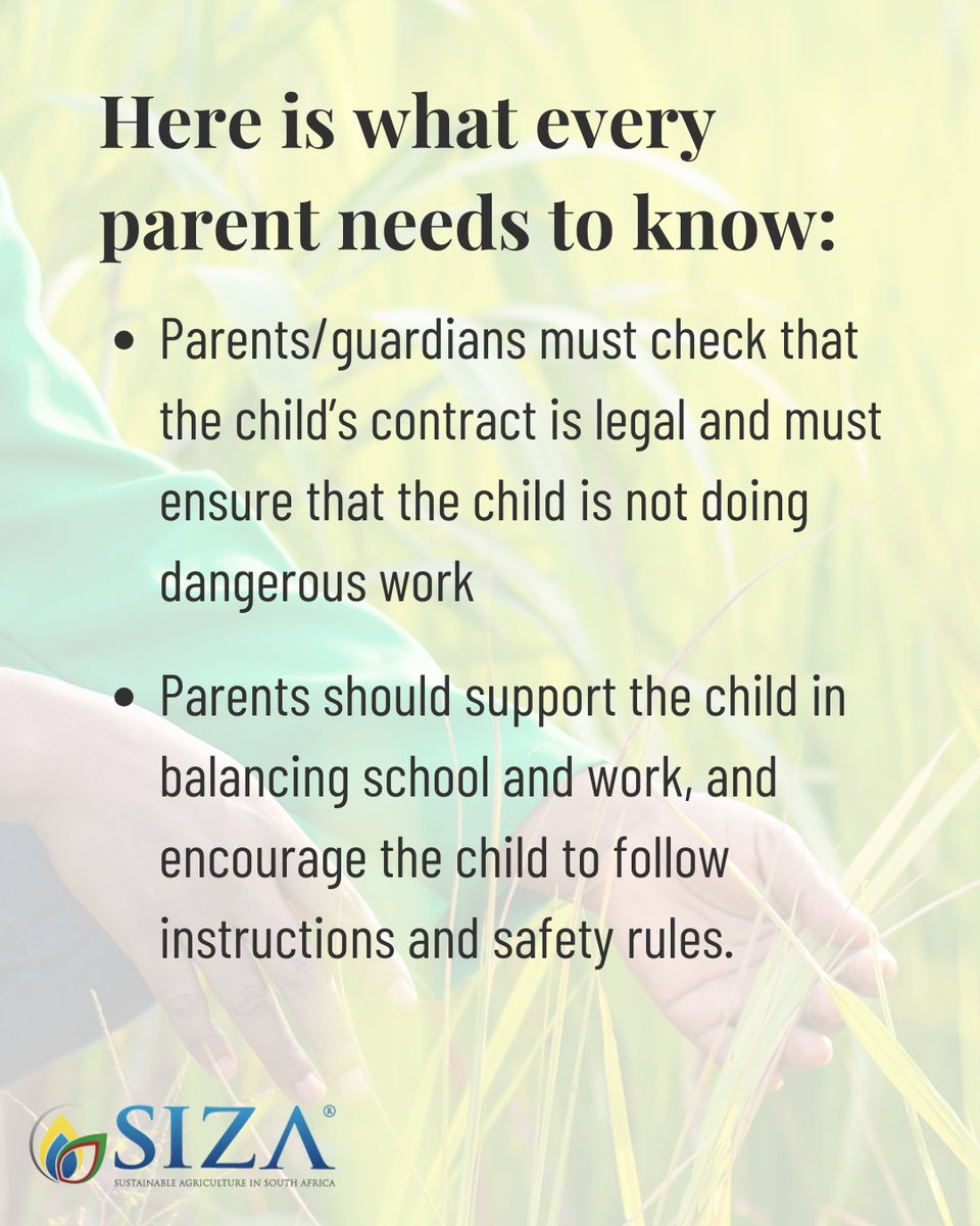 During the school holidays, many young people look for part-time work to earn extra money or support their families. Young people aged 15–17 may work under strict conditions, while children under 15 may not be employed at all.