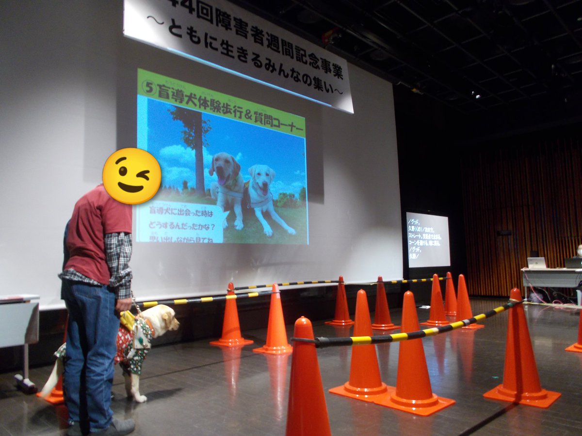 minato_acty's tweet photo. 12/6（土）#第44回障害者週間記念事業 の式典に参加し、#盲導犬体験 をさせていただきました。実際にお話を聞きながら体験することで、視覚障害を抱える方へのサポートについて、理解が深まる有意義な時間となりました。
#就労継続支援b型
#美味しいお菓子
#港区 https://t.co/bLvqiOmPAK