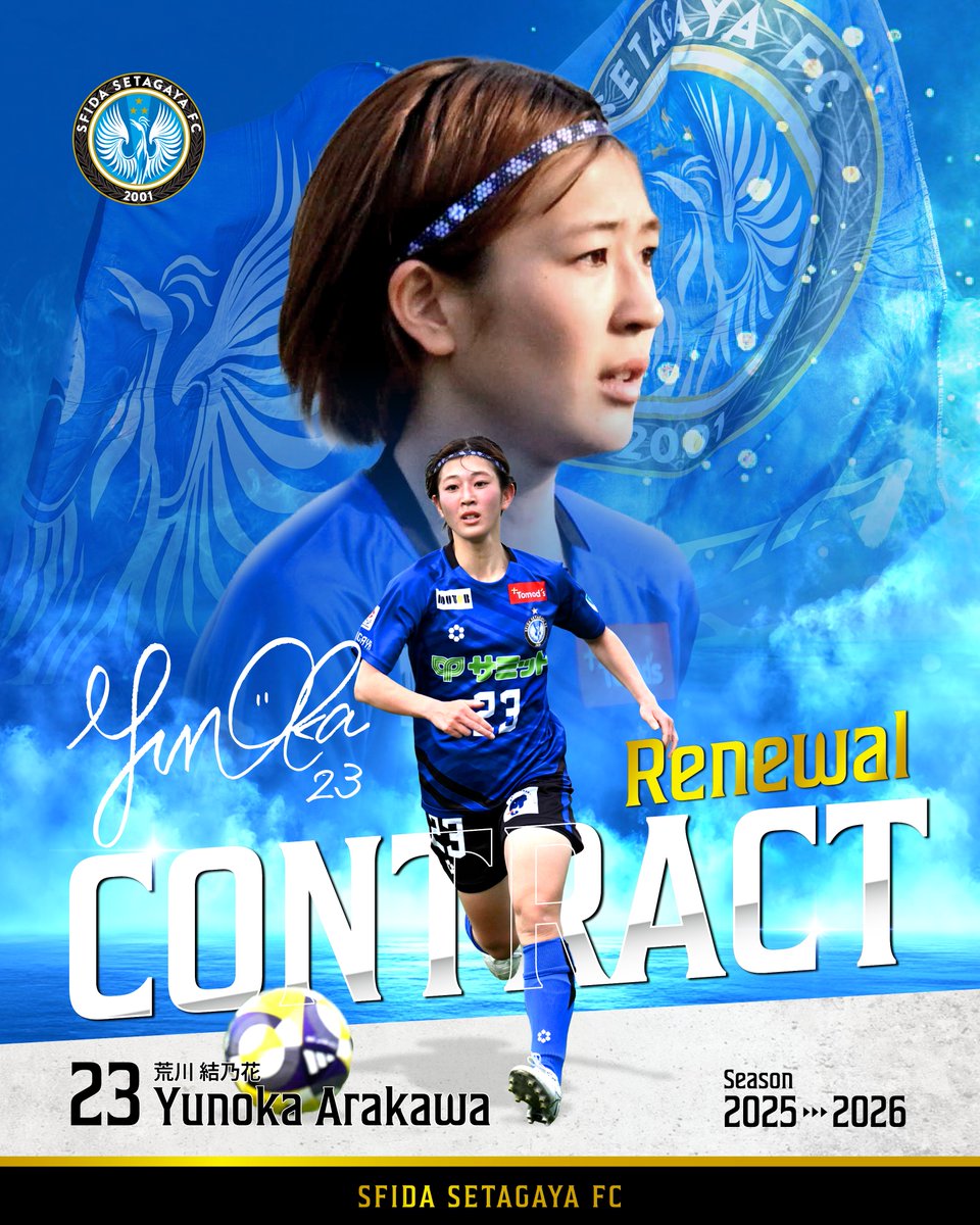 スフィーダ世田谷FC (@sfidafc) / Posts / X