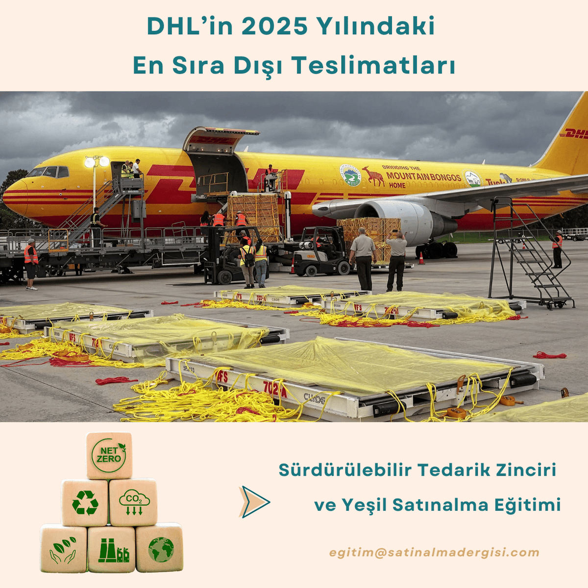adilunal10's tweet photo. DHL’in 2025 Yılındaki En Sıra Dışı Teslimatları - Satınalma Dergisi - https://t.co/6Q9GkA4zoN https://t.co/oqoXq3hpGu