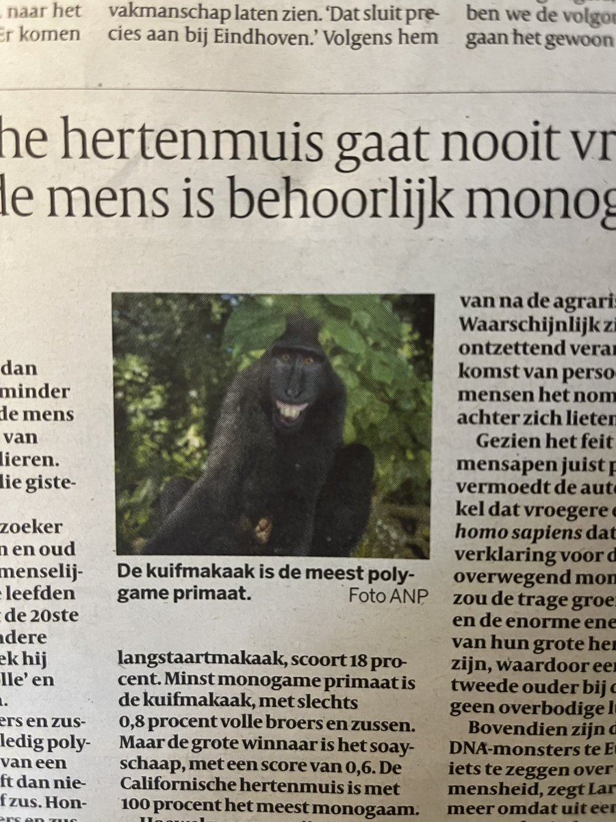 Nu al het woord van 2026. Wie durft het op te nemen tegen de #kuifmakaak