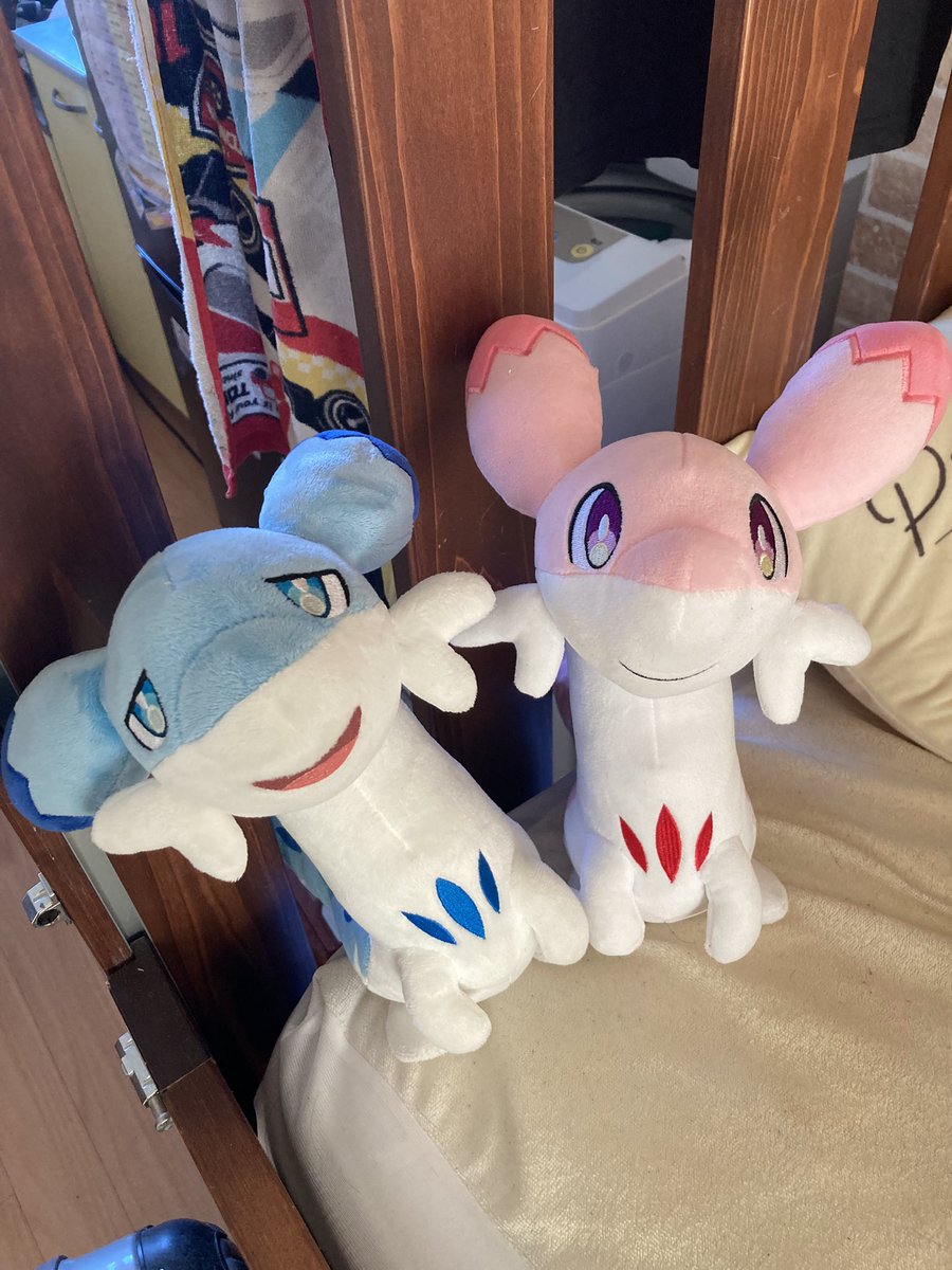 クタチュウ📛くたくん💞 (@kutachu) / Posts / X