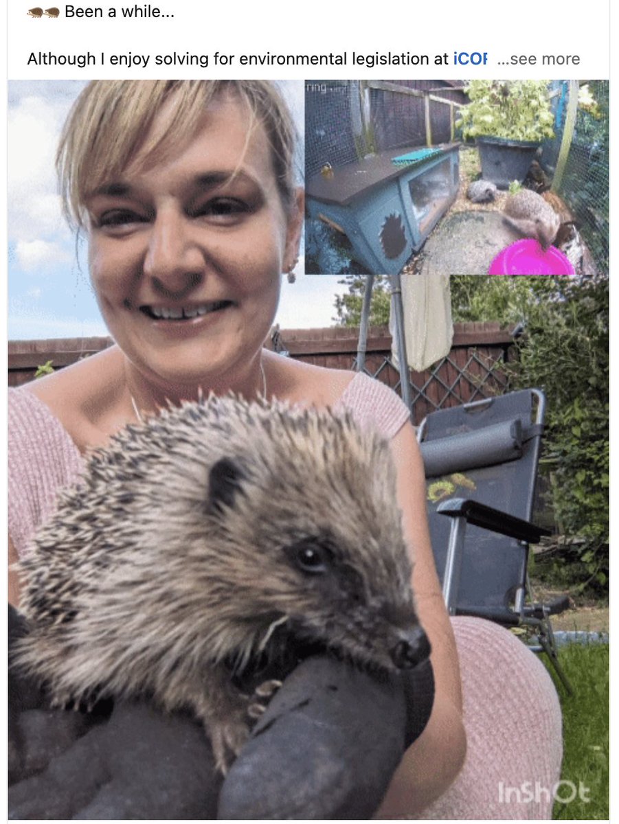 the neuroscience of BRAIN rot🧠 - mailchi.mp/88198fa60a31/5…