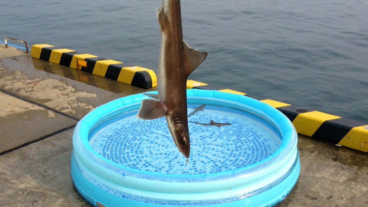 おーちゃん (@Ohchan_sub) / Posts / X