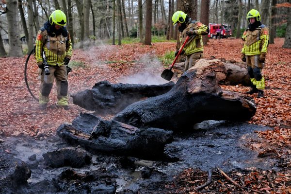 Vermoedelijke brandstichting in Oisterwijkse bossen