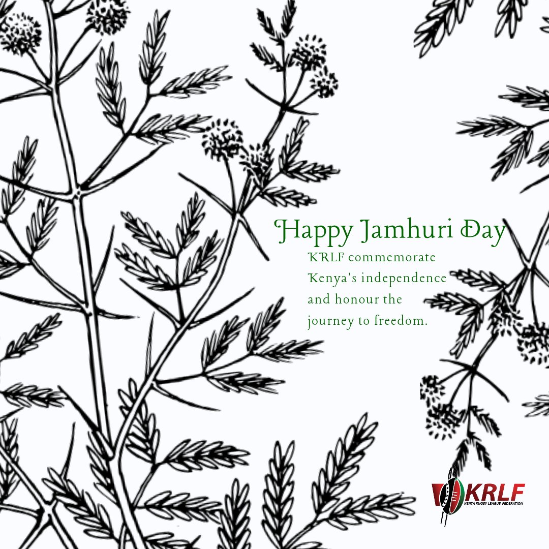 Kenya Rugby League tweet media