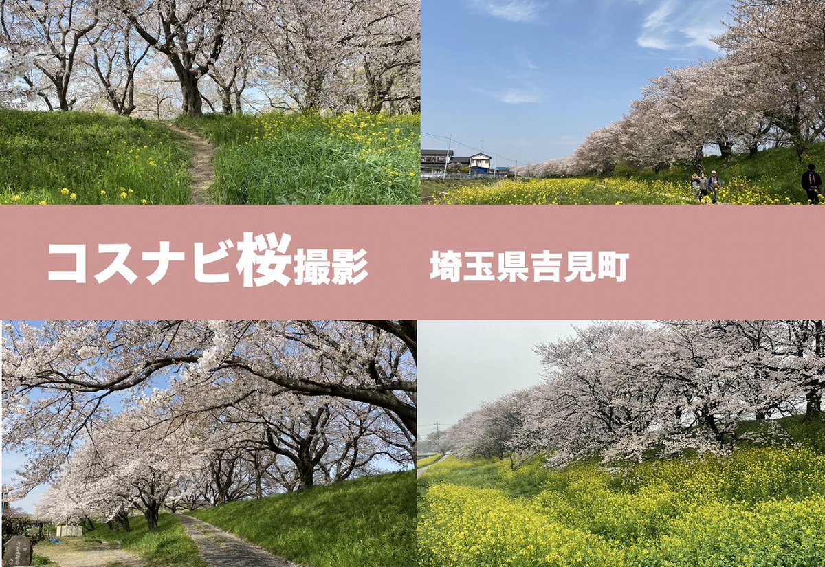 【近日予約開始】
コスナビ桜
コスプレロケ撮影会
2026年
3/29(日)or4/5(日)開催
★開花状況に合わせ
　どちらかの日程のみ開催
※ご予約開始前
HP⤵
cosnavi.biz/av17
開催時間　9：30～17：30
参加費 ￥4,500/人
鴻巣駅から無料送迎予定