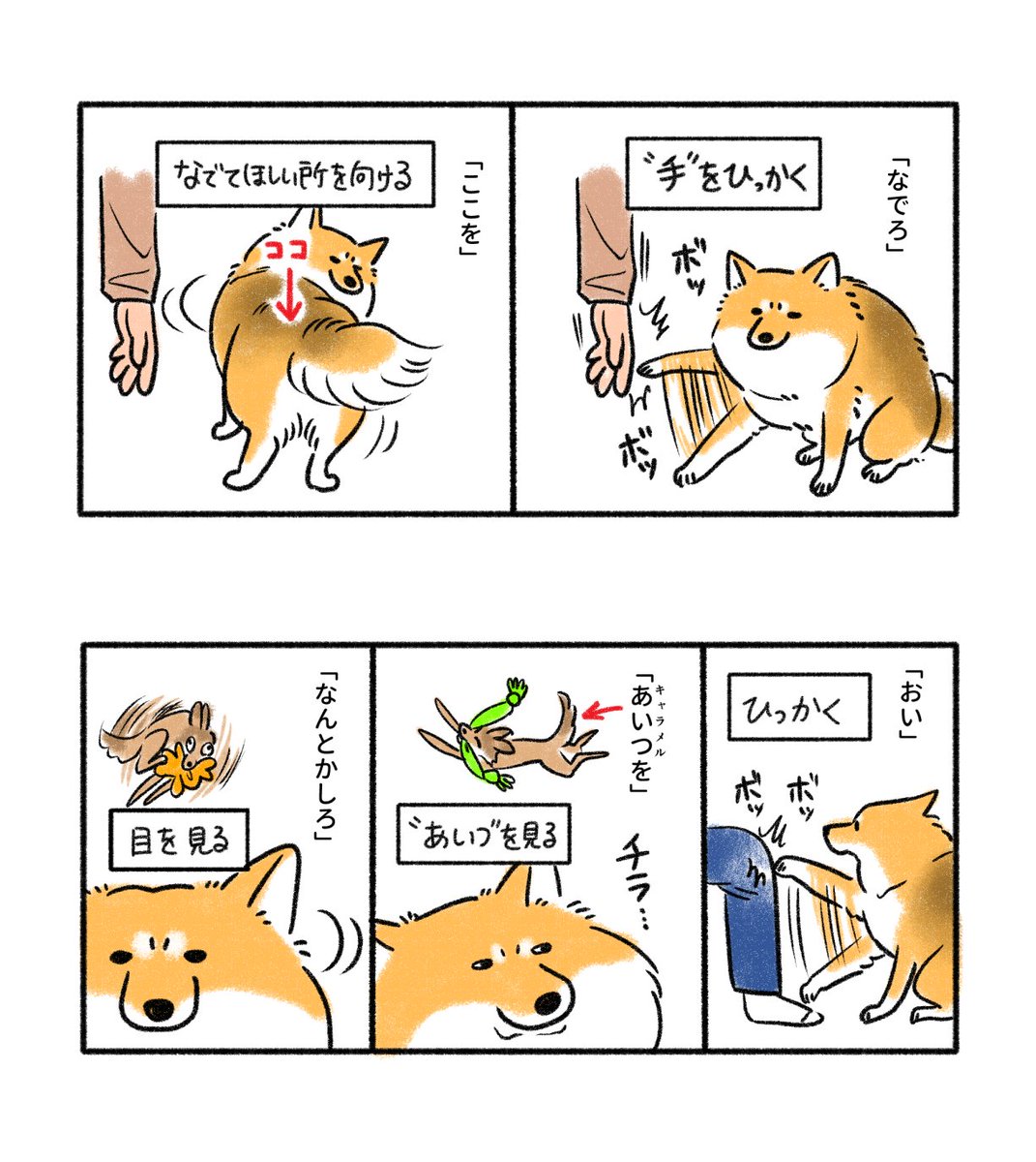 応用編 