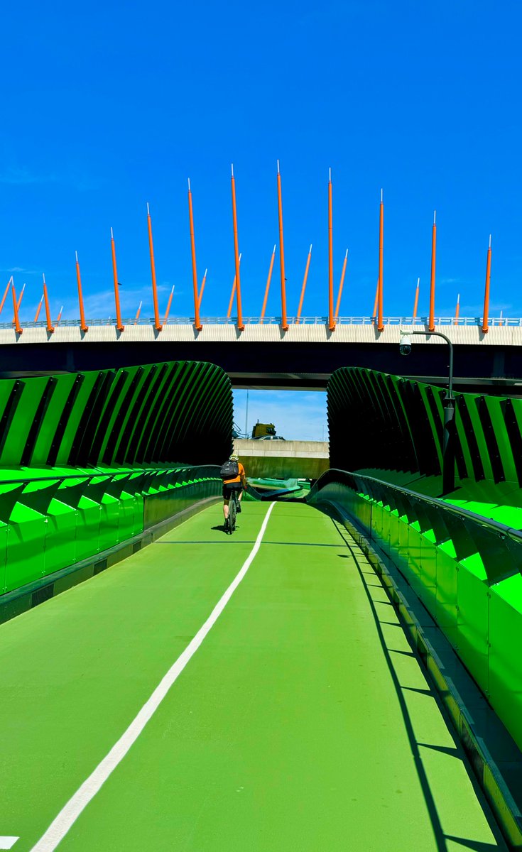 CycleLoops's tweet image. New Loop Soon