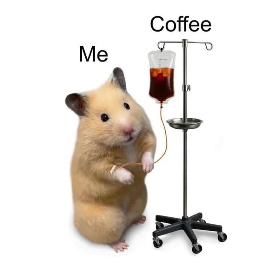 franchy ツ tweet media