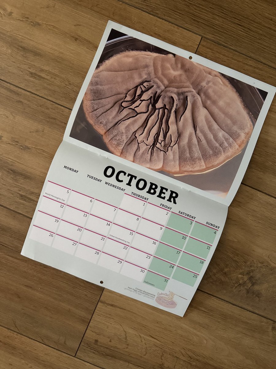 Contamination Club tweet media