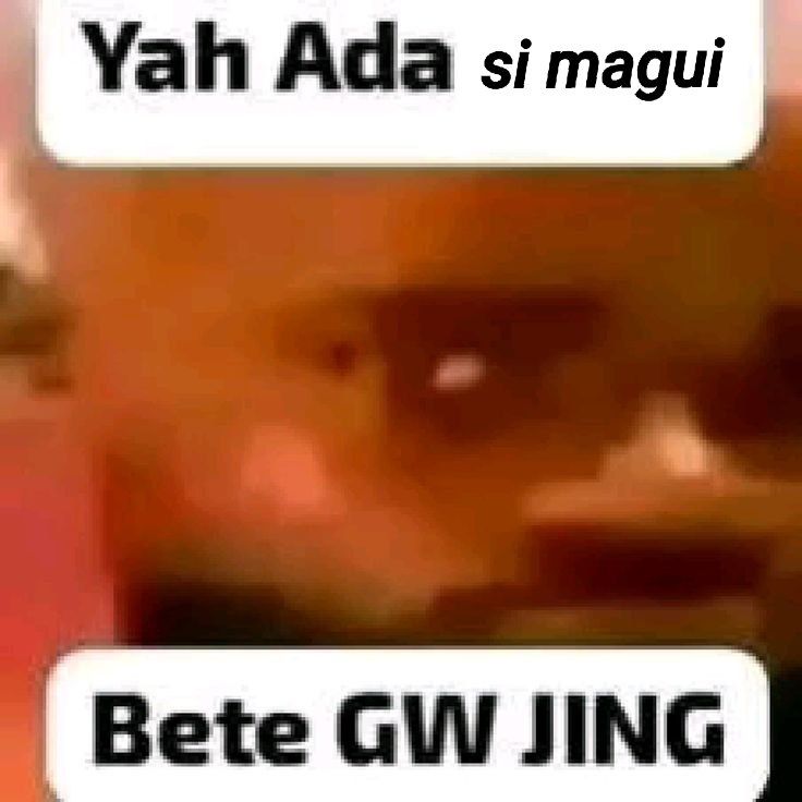 gnoccadicct's tweet image. 