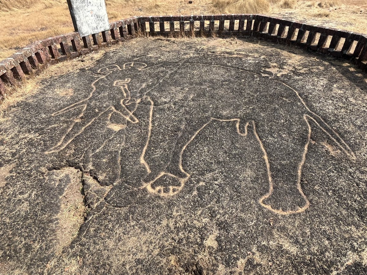 marinebharat's tweet photo. Petroglyphs of Ratnagiri, Maharashtra 🇮🇳

Rare hidden gem of Bharat 🇮🇳 

Soon to be a UNESCO World Heritage Site

Pic Source - me 😇 https://t.co/GBX3rw6rkV