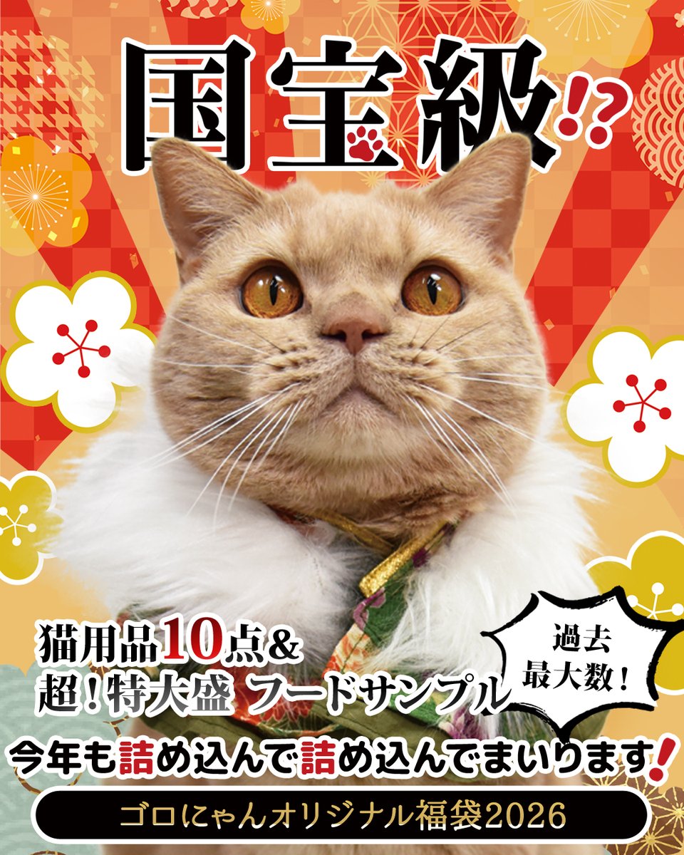 5ニャンズママ(＊プロフ更新＊)ページ 🎍2026 ゴロにゃん福袋！ 大変お待たせいたしました♪ 福袋のページを