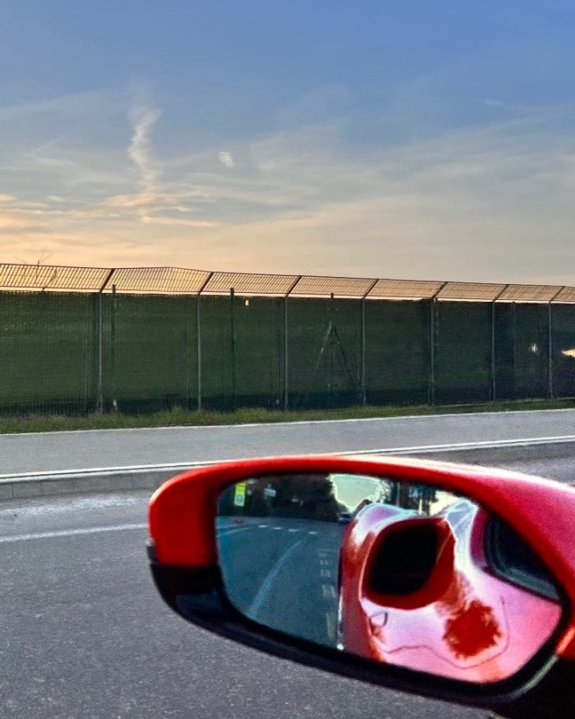 Mauro Calo tweet media