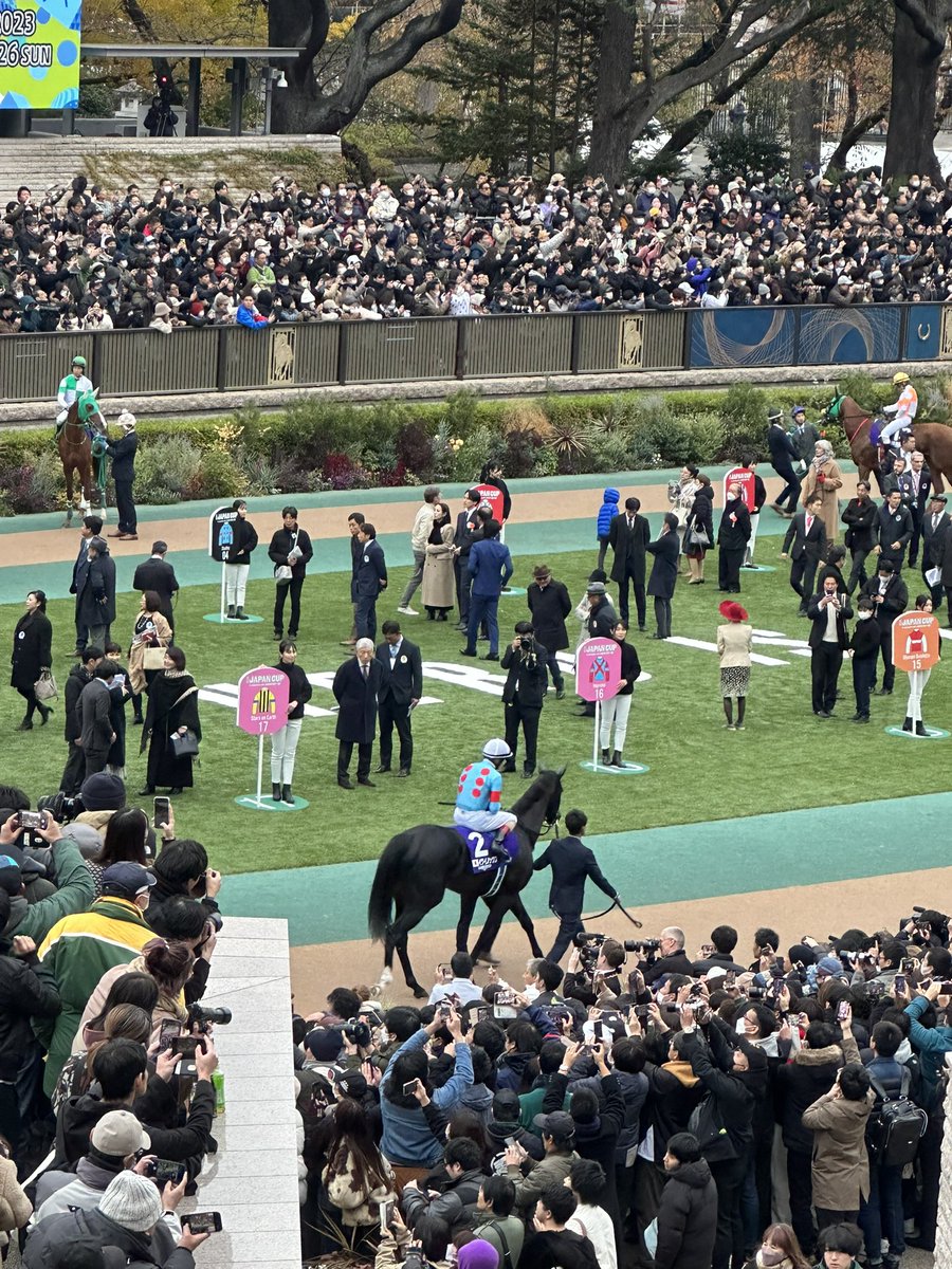 中山競馬場はららアリの2駅隣だよん👊🏻でも有馬記念当日は行かない方がいい死ぬ🌟そもそも当日は事前予約ないと入場できないけど、行っても人エグい👊🏻テレビの方が見やすいしオタクは翌日の東京ドームに備えて自宅待機オススメ🤍🎀これ過去のジャパンカップだけど同じぐらい混むと思う🥲⬇️
