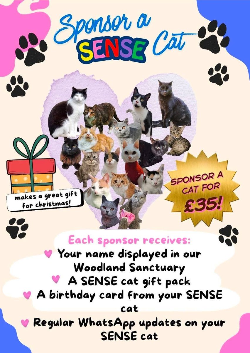 Bradford Cat Watch Rescue tweet media
