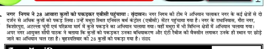 दिनांक: 12.12.2025
🗞️ मथुरा-वृंदावन नगर निगम समाचार पत्र🗞️  

#SwachhBharat
<a href="/SBM_UP/">Swachh Bharat Mission, Uttar Pradesh (Urban)</a>
<a href="/UPGovt/">Government of UP</a> 
<a href="/SwachhBharatGov/">Swachh Bharat Urban</a> 
<a href="/NagarVikas_UP/">Urban Development Department, Uttar Pradesh</a> 
<a href="/aksharmaBharat/">A K Sharma</a>
<a href="/amritabhijat/">Amrit Abhijat</a>
<a href="/SwachSurvekshan/">Swachh Survekshan</a> 
<a href="/dmmathura7512/">DM Mathura</a> 
<a href="/Pravesh4791/">Jag Pravesh</a>