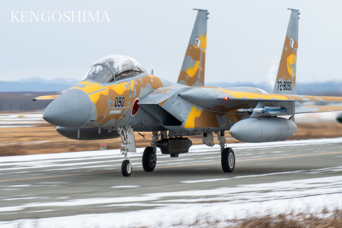 陸奥 千歳基地に着陸し誘導路を進む小松基地飛行教導群F-15DJを撮影。曇天