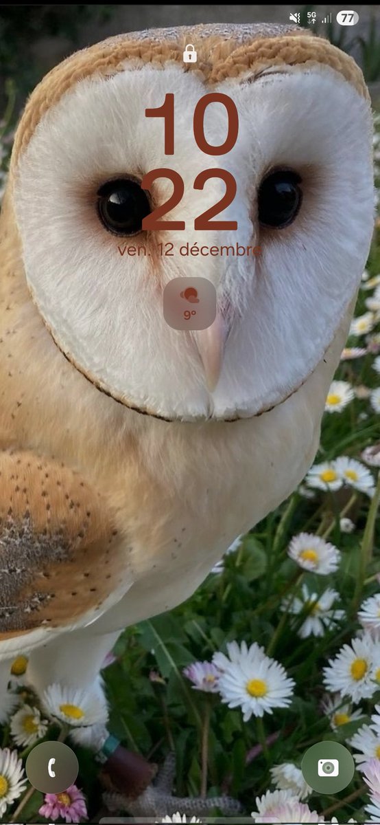 Aurélia (@oeyajedi) on Twitter photo 