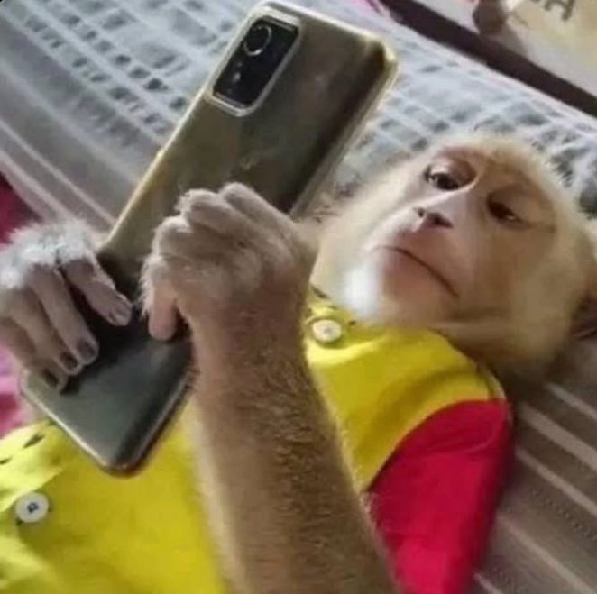 *Responds with a sticker*
Me: adds the sticker to favorites