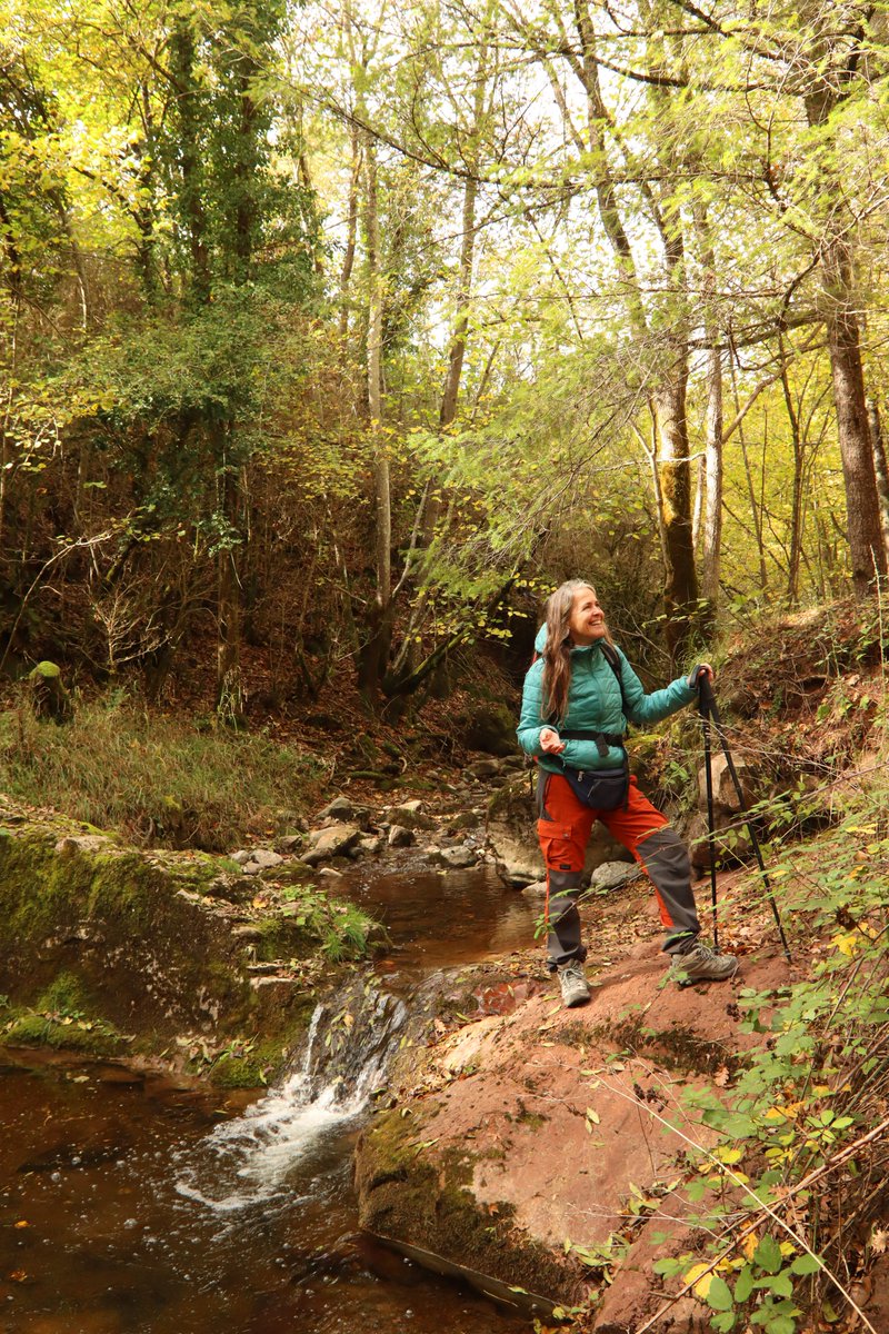 Museu del Ciment de Castellar de n'Hug tweet media
