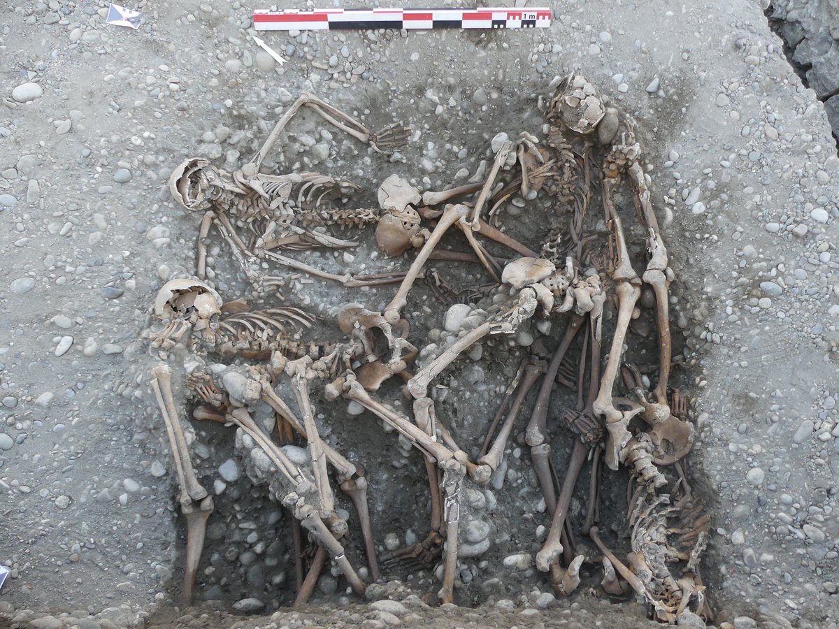 Découverte d’un gibet du XVIe siècle à Grenoble

L'Inrap a mis au jour un gibet, une structure où étaient exhibées les dépouilles des condamnés à mort à l’extérieur de la ville. 32 individus ont été identifiés sous et autour du gibet.

En savoir plus 👉 inrap.fr/decouverte-d-u…