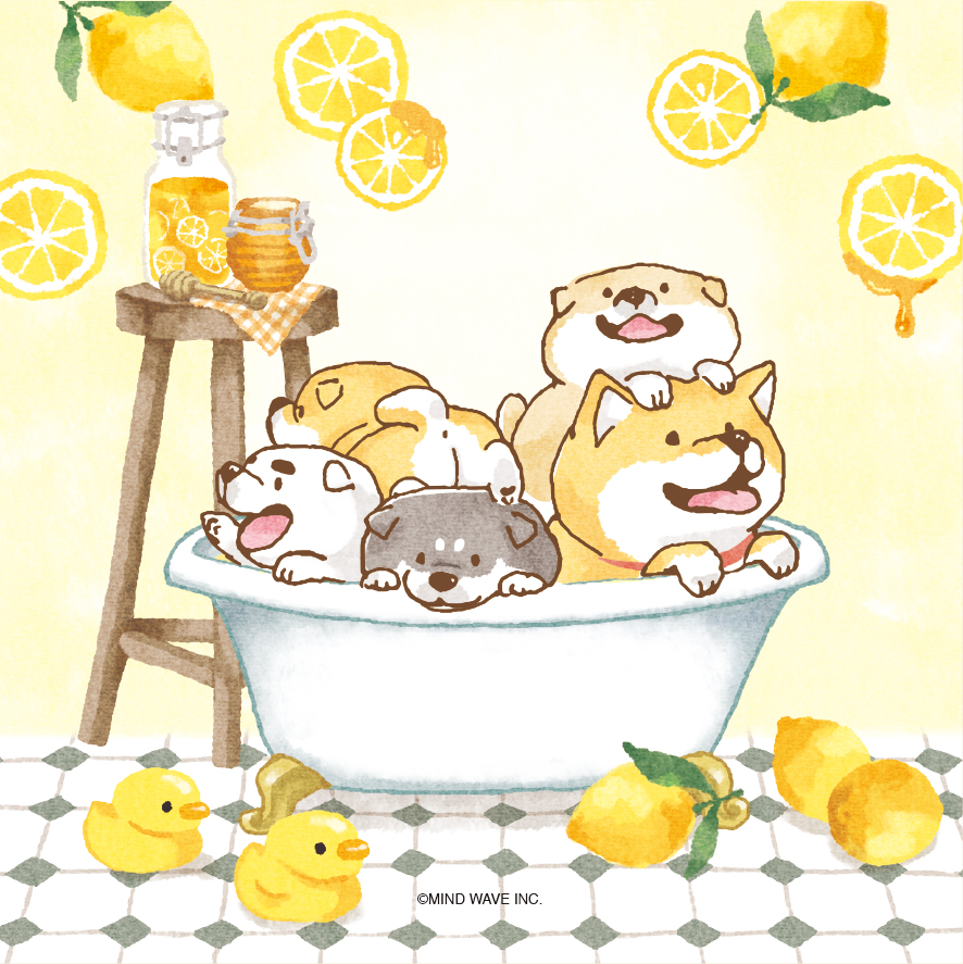 しばんばん (@shibanban_mw) / Posts / X