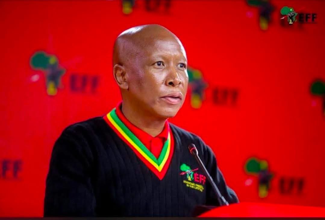 Nthabiseng Tshivhenga tweet media