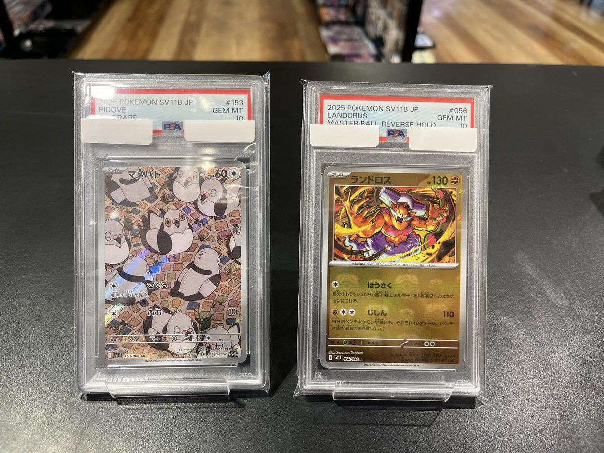 AR PSA10 - マメパト [SV11B PSA10マメパト ポケモンカード メルカリ 