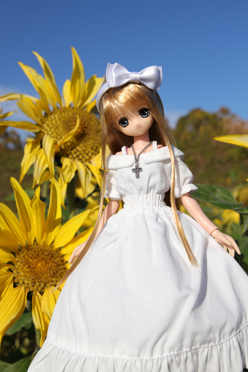 いずみ tweet media