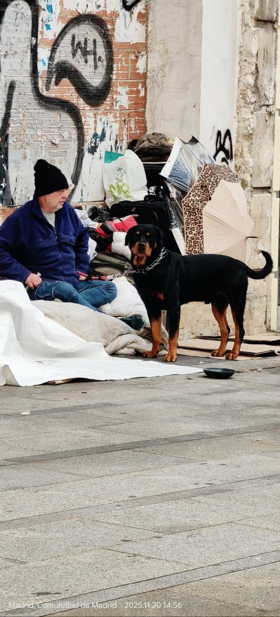 Manu Burk. tweet media