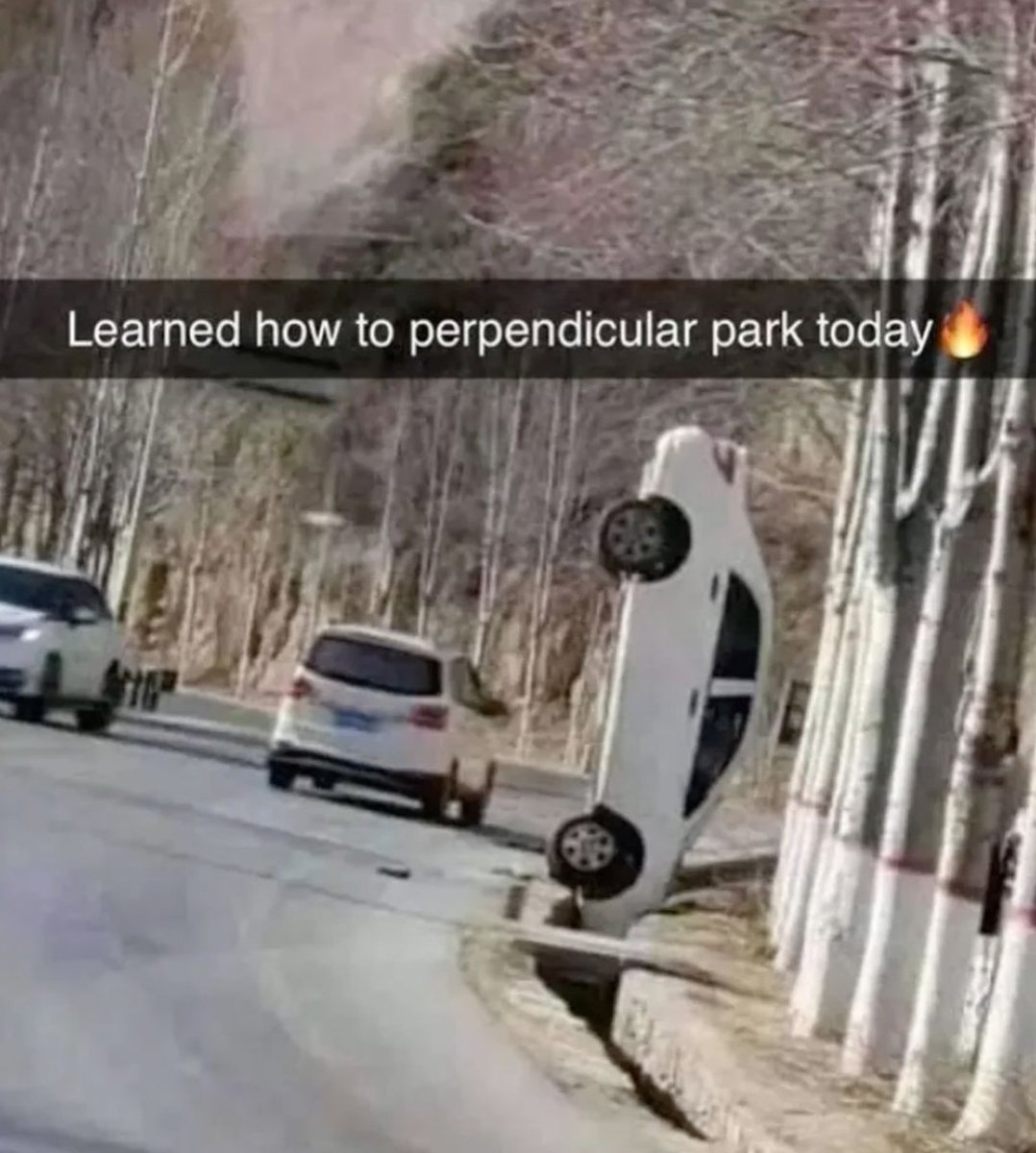 Respectful Memes (@respectfulmemes) on Twitter photo 