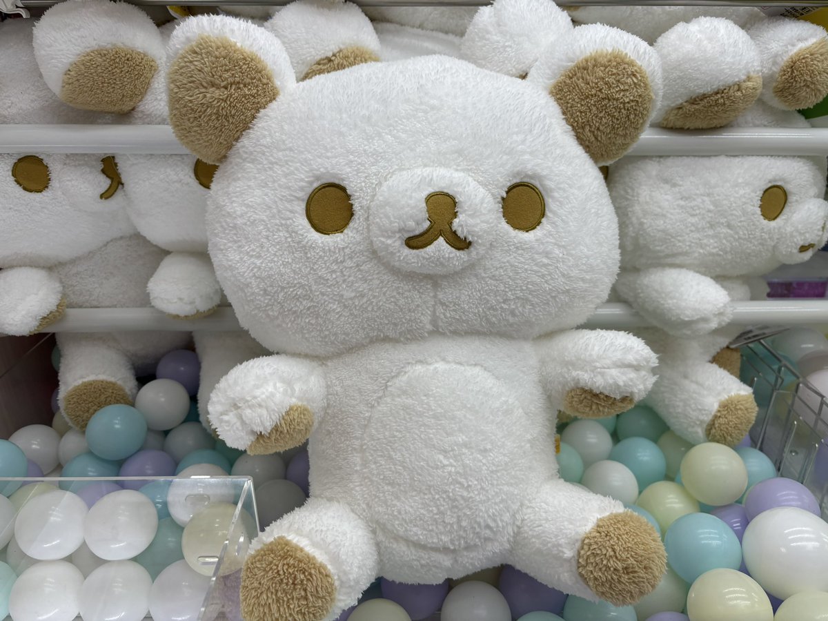 入荷情報】 リラックマ ホワイトカラーぬいぐるみXLプレミアム 入荷