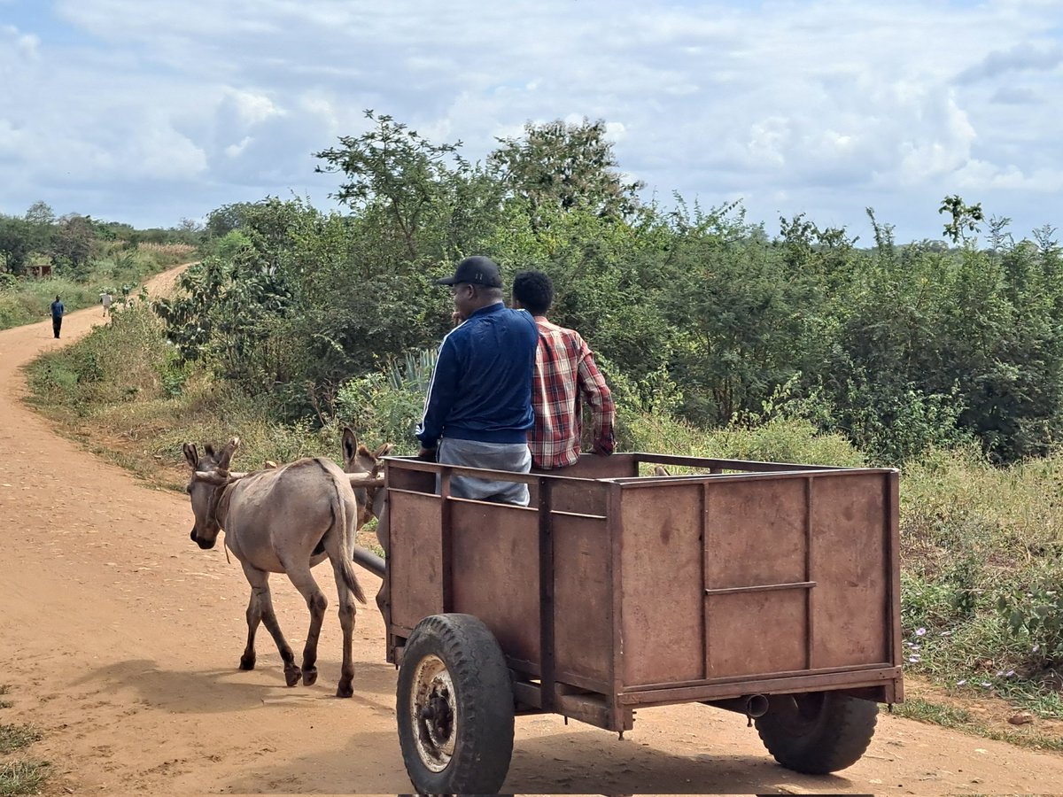 Kipindi hiki cha Shida ya maji Dar,ndicho wasanii wangepiga hela kwa kusomba maji na mikokoteni na kuuza Sinza