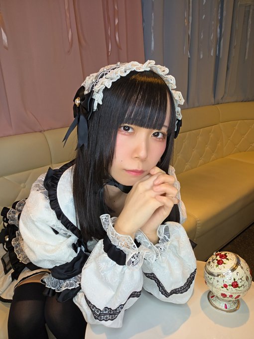 Dolly Catsのツイート