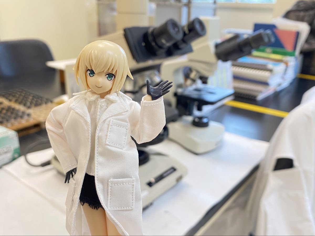 NiteWRice's tweet photo. 上司が「白衣なしでは研究室に入れない」って言うんだ。だから轟雷に何を買ったと思う？はは！どこへでも轟雷を連れて行くという俺の決意を甘く見るな！🥼🔬🧪

#FAガール #フレームアームズガール #FAgirl #framearmsgirl #picconeemo #azonepicconeemo #azone #toyphotography #dollphotography https://t.co/iyMTDwQbqh
