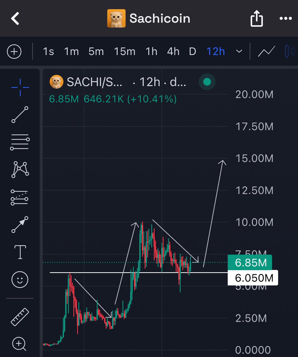 Crypto_Alch's tweet photo. We have seen this $SACHI play before 

Steady lads the next leg up will be face melting 

Cuteness have long lasting lore https://t.co/wT2pq99JwH