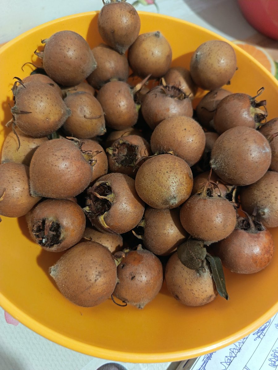 Annarosa🦋🐞 tweet media