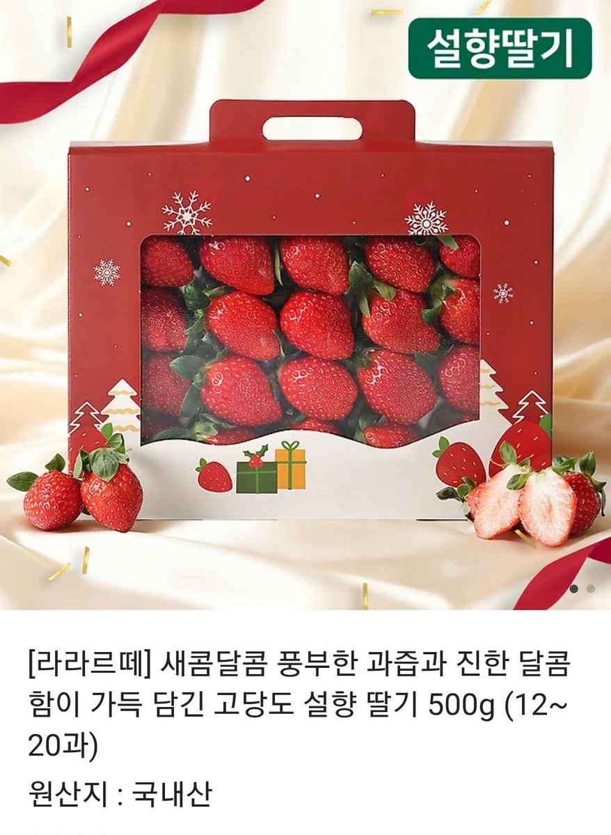 2026 단항스텔 tweet media
