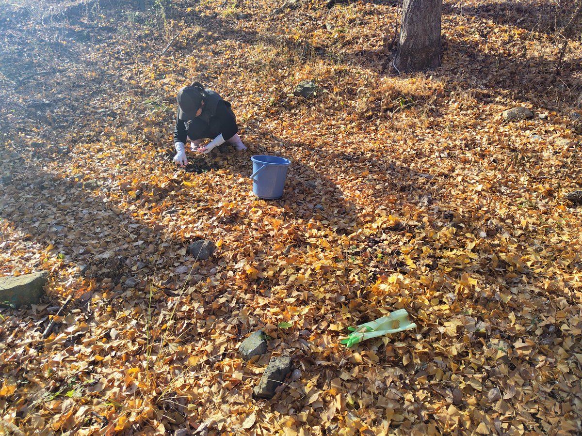 Blue Nile Gear | 代表香本 (@BlueNileGear) / Posts / X