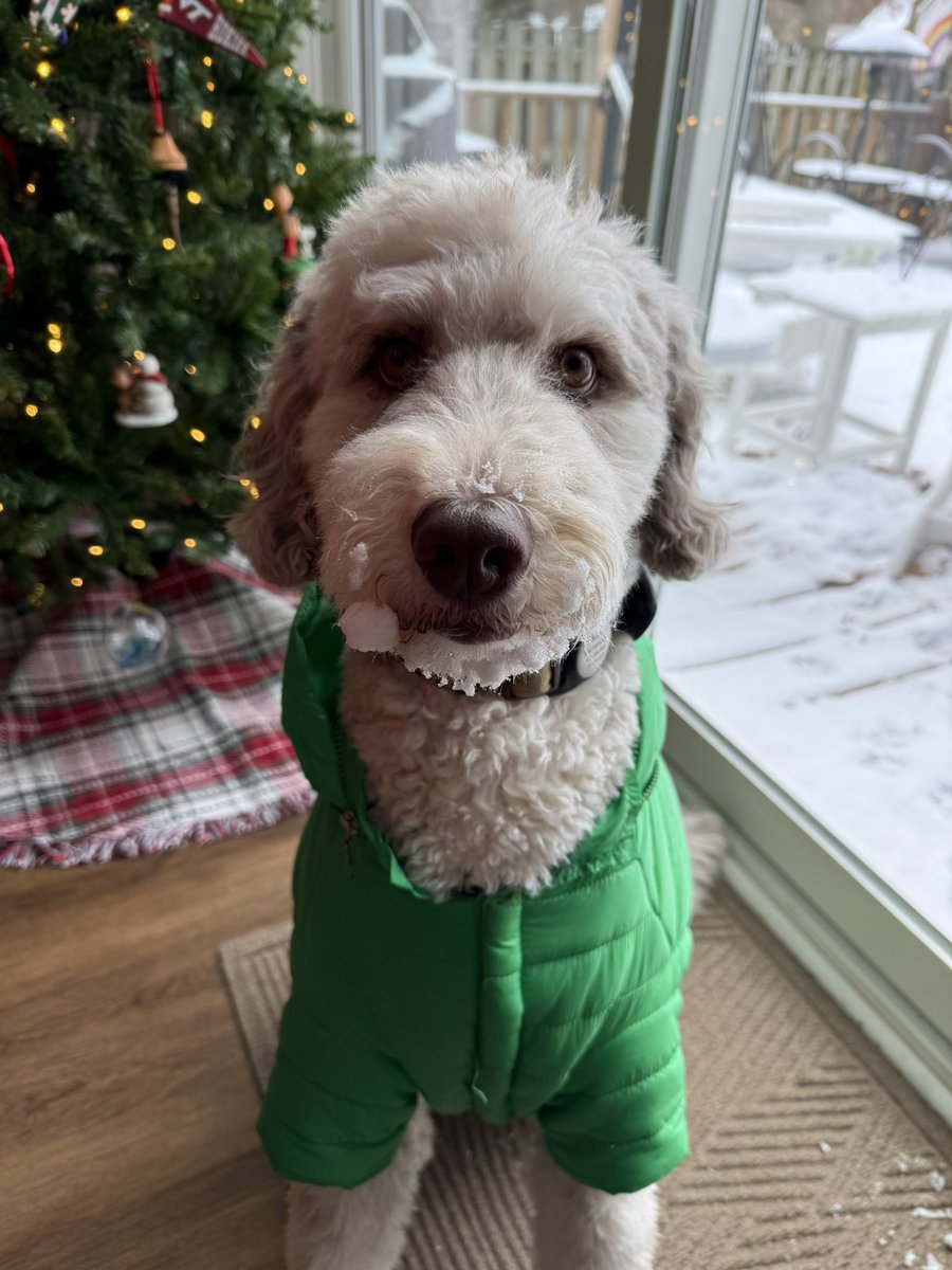 JanaAshley_'s tweet image. My favorite PGs, Cookies, Hot Chocolate, Christmas PJs, and a snowy day to finish out final exam week!

And my favorite Asst Coach @CoachFran_ and 🐶 ❤️