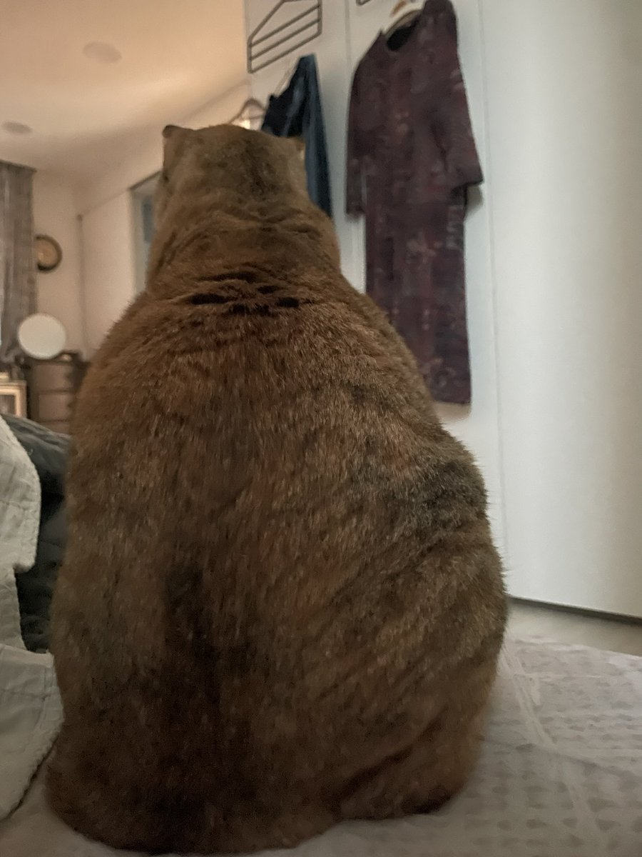 자는 동안 나 지켜주는 늠름한 그녀