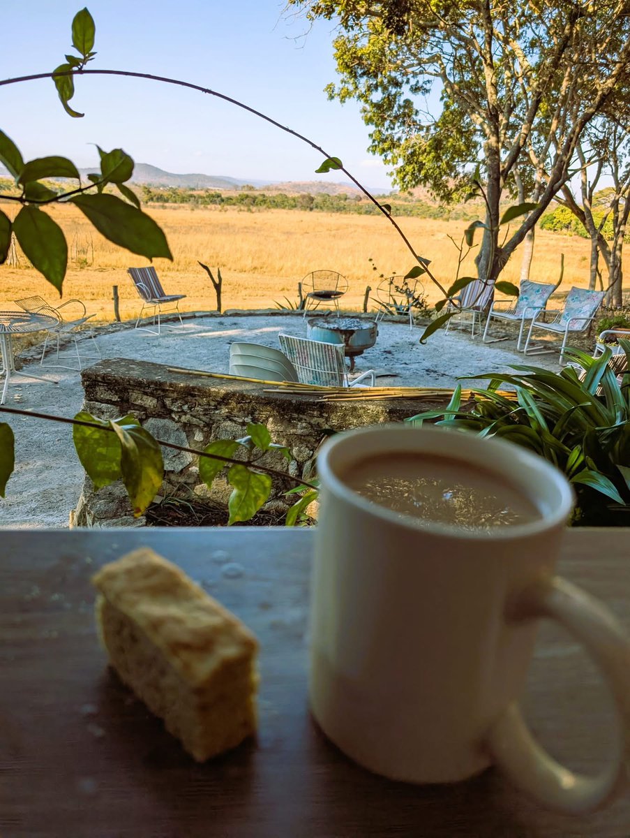 StoneZimTravel's tweet photo. Escape to Ballyvaughan / Mwanga Lodge — just 22km from Harare! 🇿🇼

• Day Safari $85 adults | $60 kids
• Overnight Lodge Stay $185 adults | $125 kids
• Picnic $17 adults | $11 kids
• Lunch + Predator Feeding $45 adults | $25 kids

Book with StoneZim Travel: +263 7 75 673 326 https://t.co/Tdb0usU6aZ