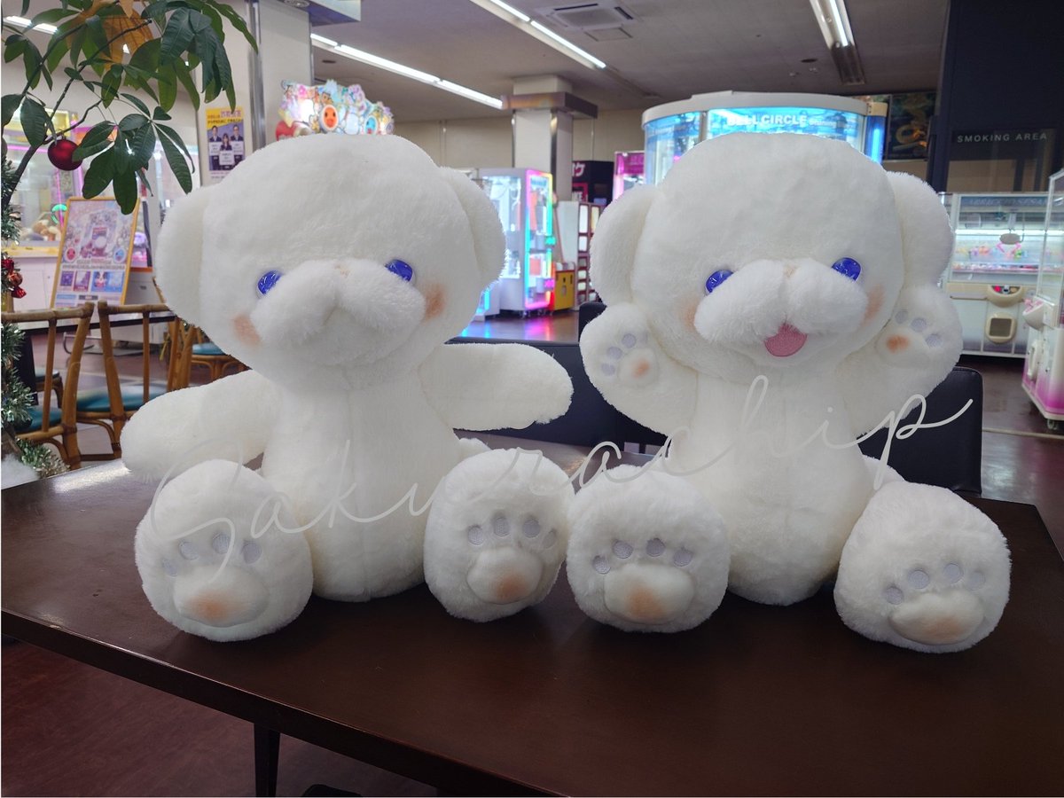 💭いとわたあめ💭美桜 (@itowataame) / Highlights / X