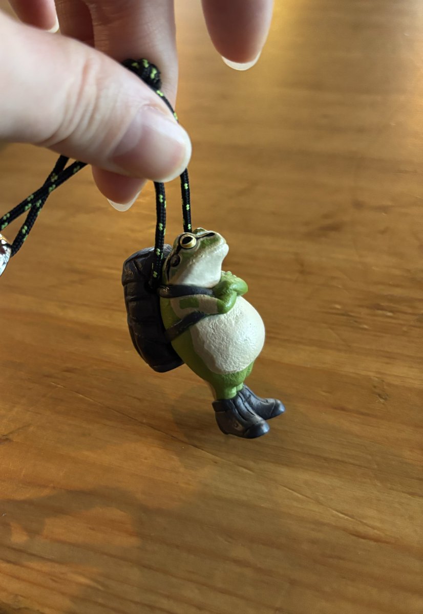 В Японии независимо от пола и возраста все ходят с обвесом на сумке из всяких маленьких штучек.  Вытащила себе в Гача автомате друга - Мистера Лягушку.
Он слышал, что вы хотели встать в 8:00, чтобы хайкать по горам, и вот уже 8:30, вы спите все ещё, а он уже собрался и недоволен